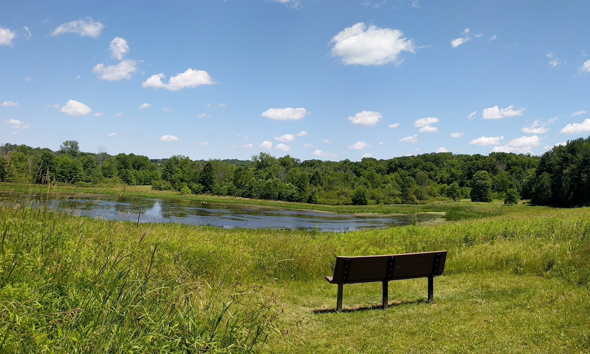 Dr. Paul E. Martin Center for Field Studies and Environmental Education